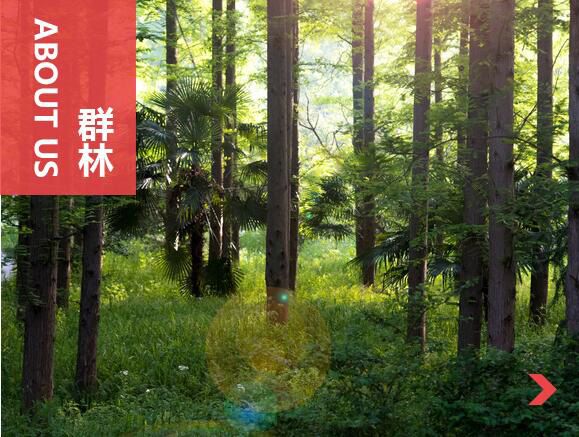 什么叫刨花板？